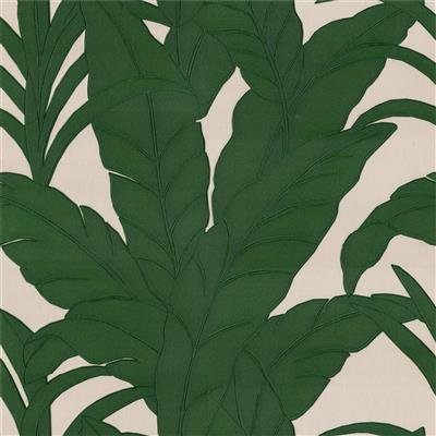 新竹 窗簾 地板 壁紙 推薦 &nbsp;